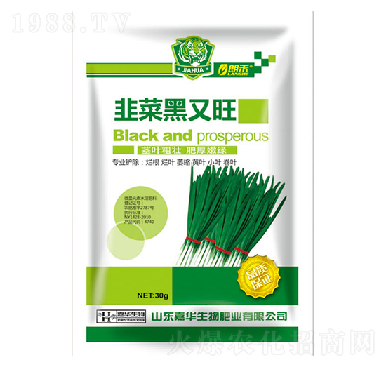 �ǲ˺�����-���A����