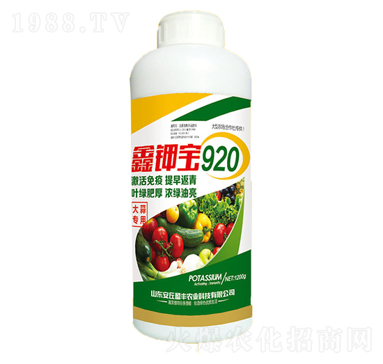 ���⌣��-��⛌�920-���A����