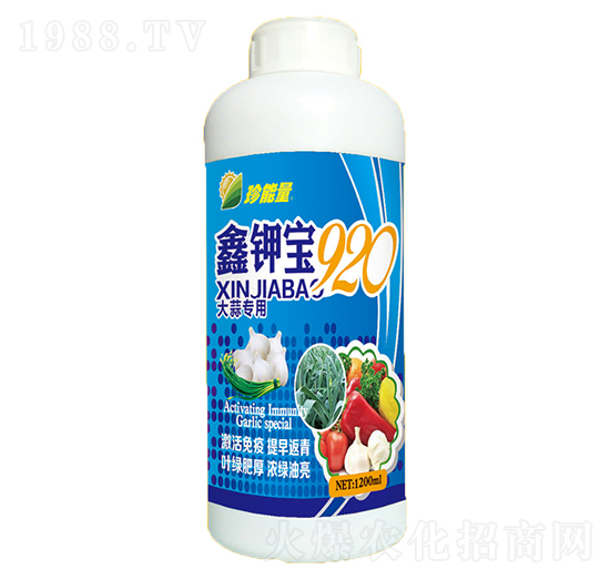 ���⌣��-��⛌�920-������-���A����