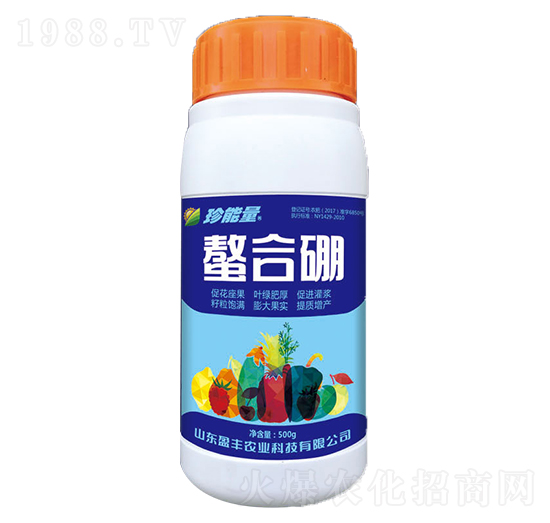 ������-���A����