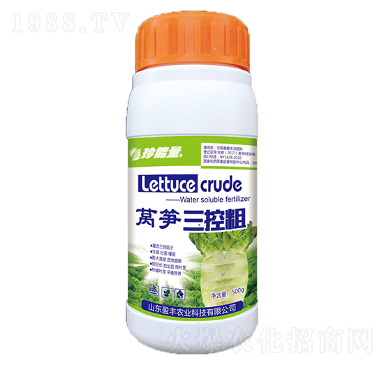 �n�S���ش�-���A����