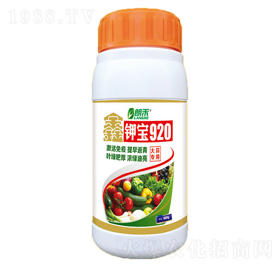 600g���⌣��-��⛌�920-���A����