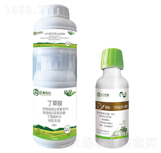 66%���ס�����+85%���ݰ�-�з�����