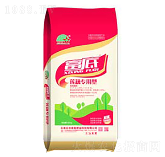 ɏź��(zhu��n)�÷ʏ�(f��)��΢�������-����-ϣ���r(n��ng)�I(y��)