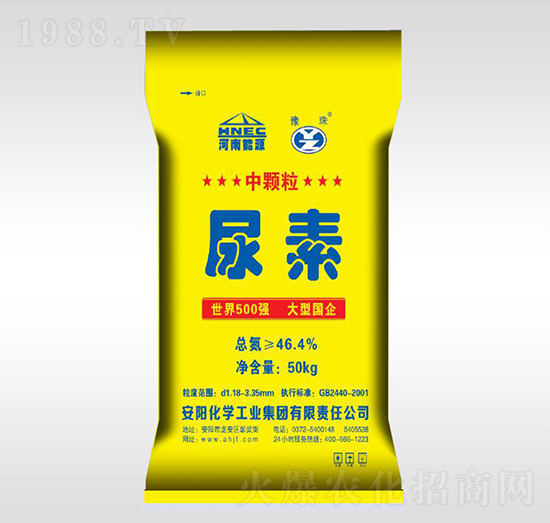 ���أ����w����-ԥ��ʘI(y��)