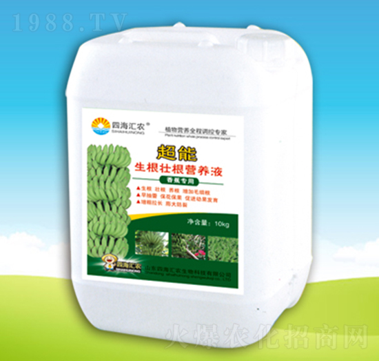 香蕉專用超能生根壯根營養(yǎng)液-四海匯農(nóng)