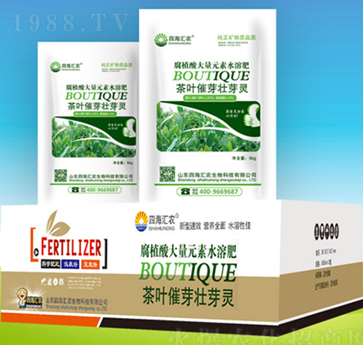 茶葉催芽壯芽靈-四海匯農(nóng)