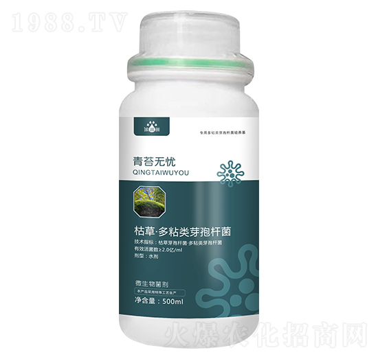 青苔無(wú)憂(yōu)-濃沺沺-天度生物