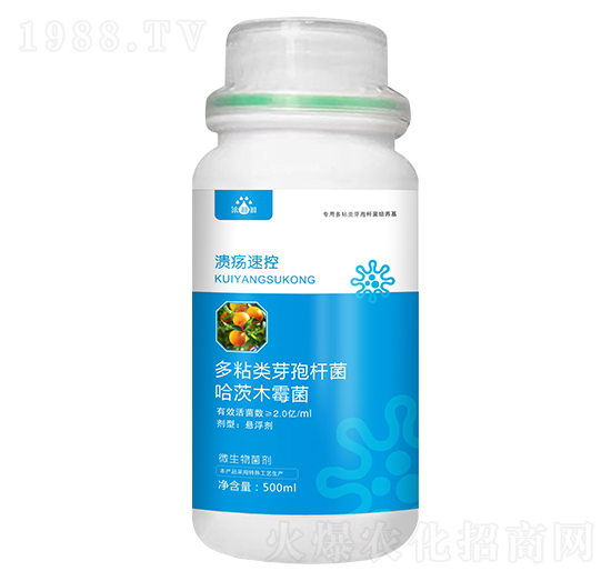 潰瘍速控-濃沺沺-天度生物