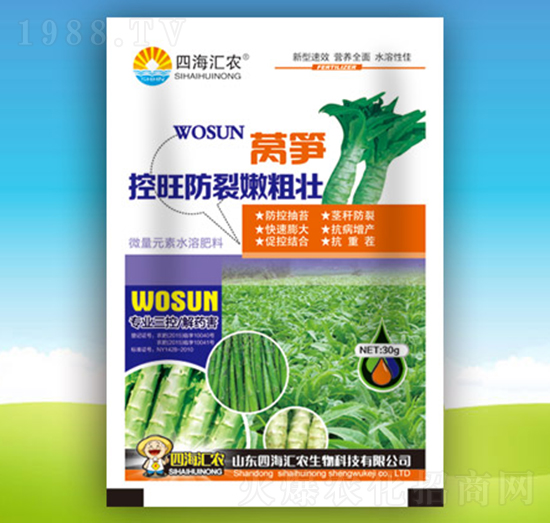 萵筍控旺防裂嫩粗壯-四海匯農(nóng)