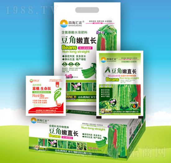 豆角嫩直長(zhǎng)-四海匯農(nóng)