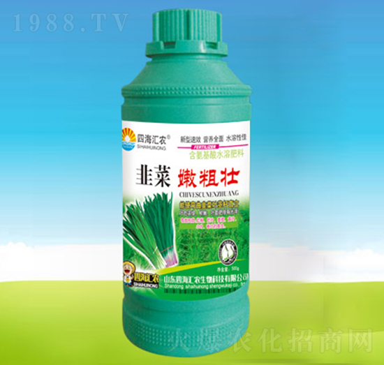 韭菜嫩粗壯-四海匯農