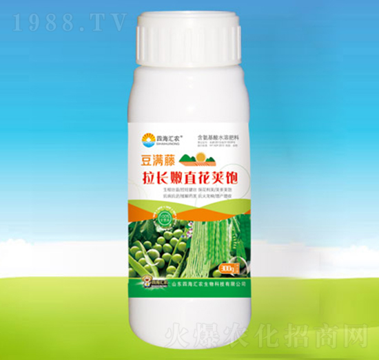 豆?jié)M藤拉長嫩直花莢飽-四海匯農(nóng)