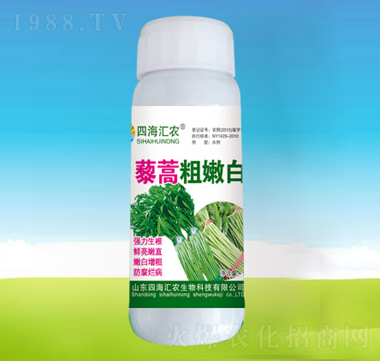 藜蒿粗嫩白-四海匯農(nóng)