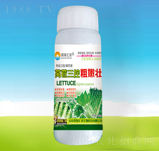 萵苣三控粗嫩壯-四海匯農(nóng)