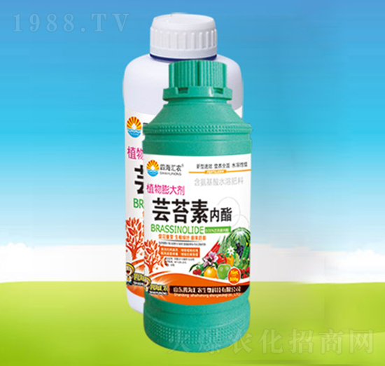 �|̦�؃�(n��i)��-�ĺ��R�r(n��ng)