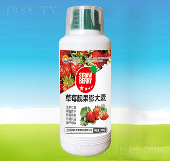 ��ݮ�n�������-�ĺ��R�r