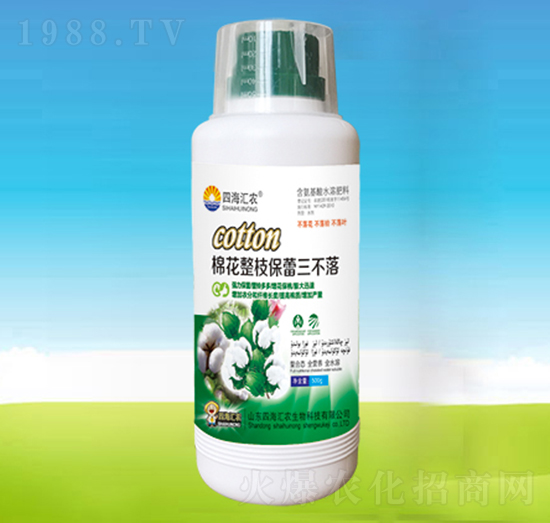 棉花整枝保蕾三不落-四海匯農(nóng)