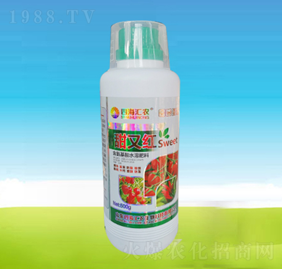 500g甜又紅-四海匯農(nóng)