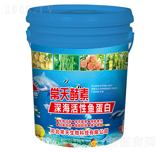 深?；钚贼~蛋白-常天酵素-常天生物