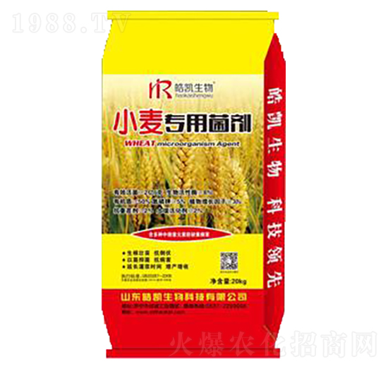 小麥專用菌劑-皓凱生物