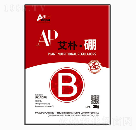 艾樸·硼-愛(ài)德樸