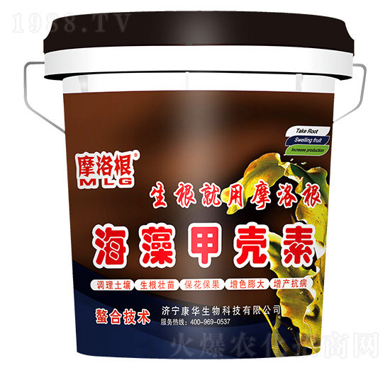 ����ך���-���A����