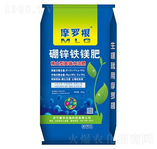 ���\�F�V��-Ħ�_��-���A����