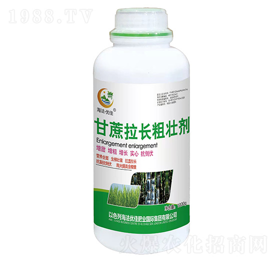 �������L�։ф�-������(y��u)��