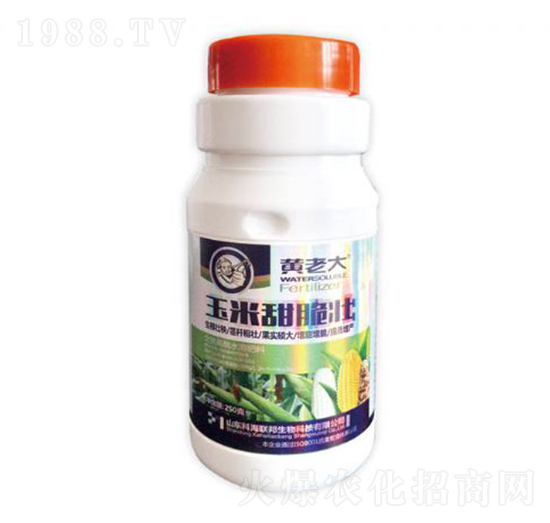 玉米甜脆壯-黃老大-科海聯(lián)邦