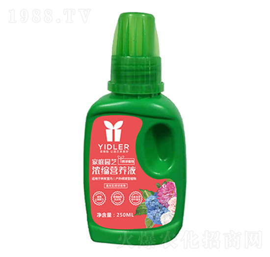 �C��ֲ���͈@ˇ�I(y��ng)�B(y��ng)Һ-�۱���