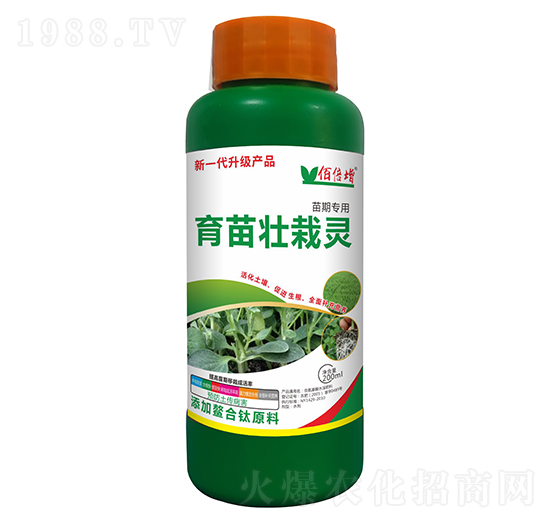 ��������`-�۱���