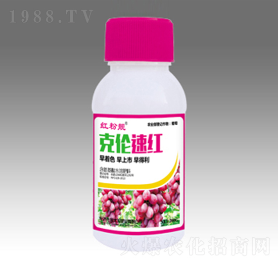 克倫速紅-金太陽(yáng)肥業(yè)