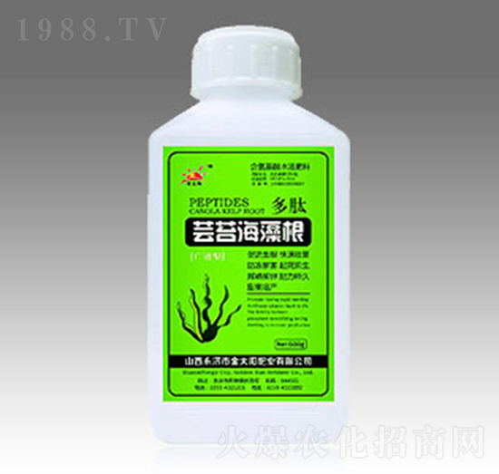 蕓苔海藻根-金太陽肥業(yè)