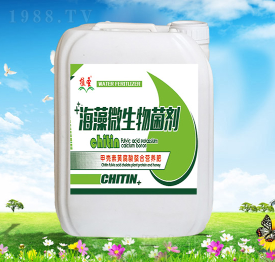 ����΢�������-ֲʥ-��Ұ�r(n��ng)��