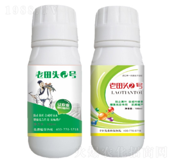 真菌、細菌性病害、病毒?。ㄖ胁菟幣浞剑?老田頭2號