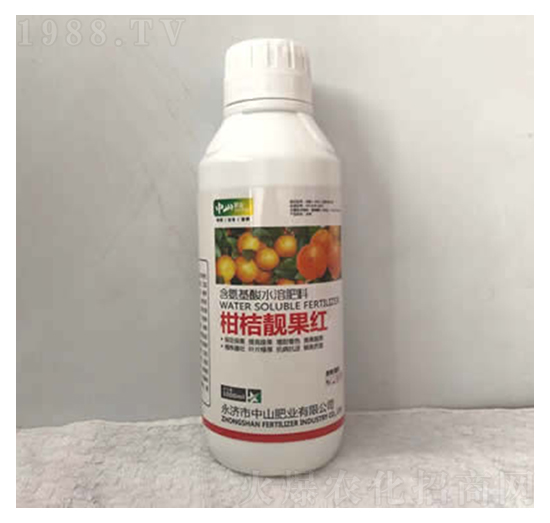 柑桔靚果紅-中山肥業(yè)