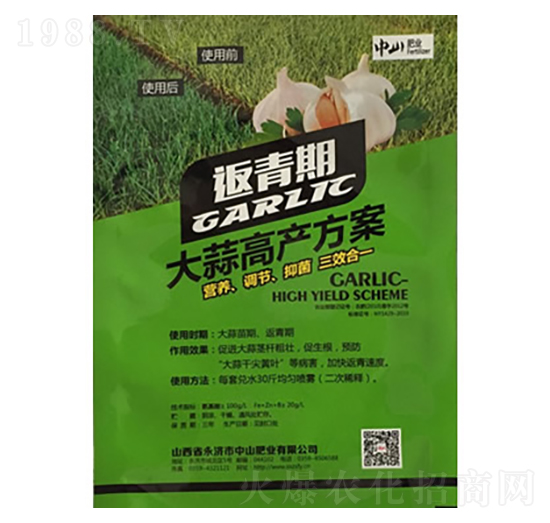 大蒜高產(chǎn)方案（返青期）-中山肥業(yè)