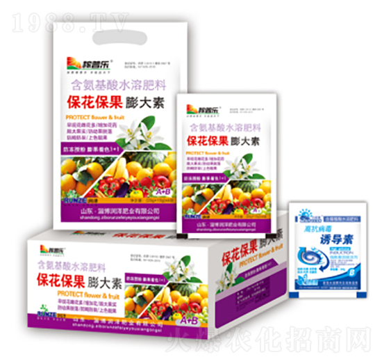 �������������-��(r��n)�ɷʘI(y��)