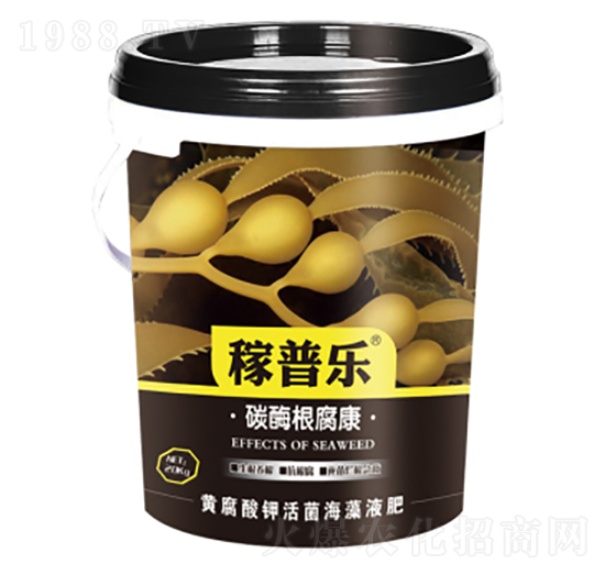 ̼ø������-���՘�-���ɷʘI(y��)