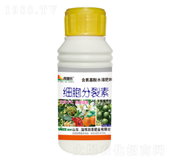 ����������-���՘�-���ɷʘI(y��)