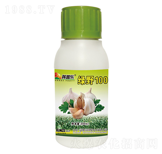 大蒜專用葉面肥-綠野100-潤(rùn)澤肥業(yè)