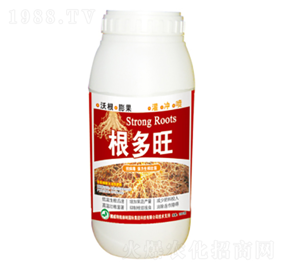 �������~���-���՘�-��(r��n)�ɷʘI(y��)