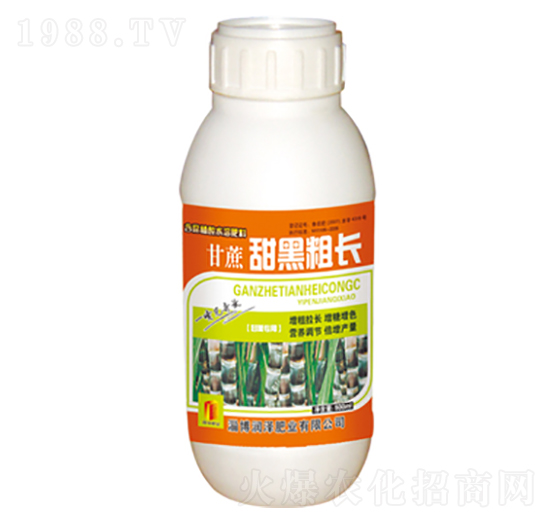 ������ڴ��L(zh��ng)-��(r��n)�ɷʘI(y��)