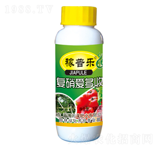 ��(f��)���۶���-���՘�-��(r��n)�ɷʘI(y��)