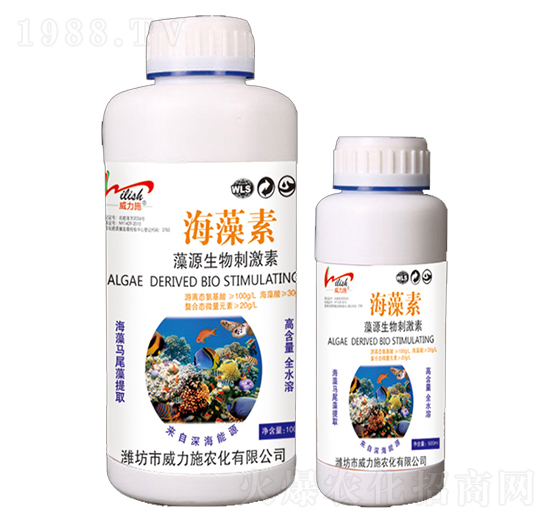 ������-����ʩ