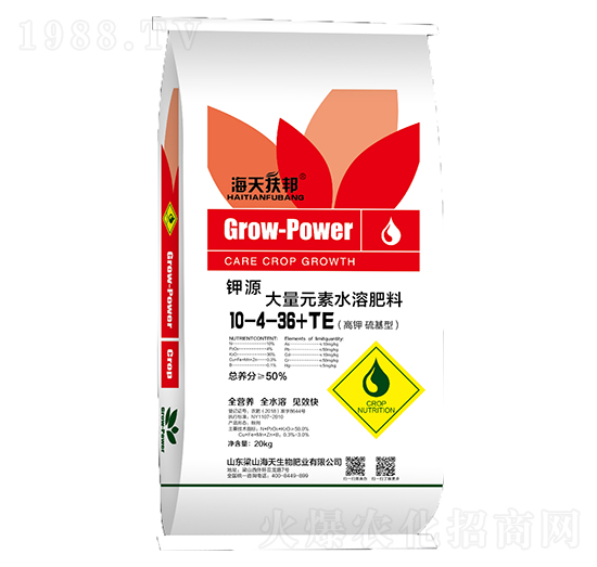 ����Ԫ��10-4-36+TE-��������