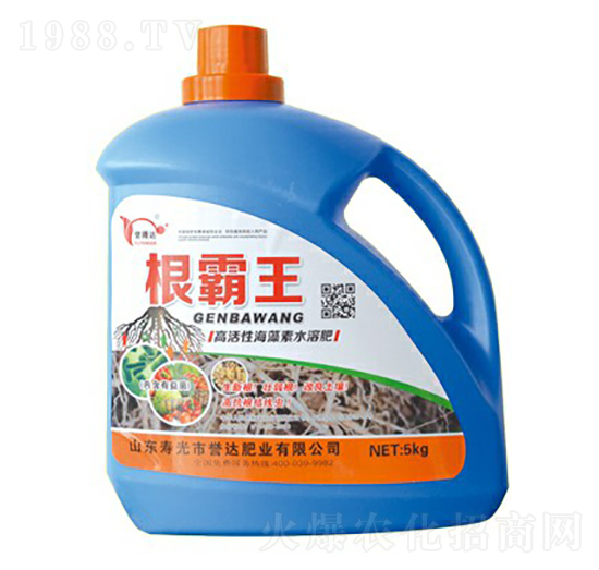 高活性海藻素水溶肥-根霸王譽達肥業(yè)