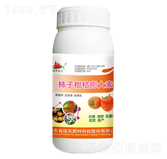 ���Ӹ̽������-�h�|����