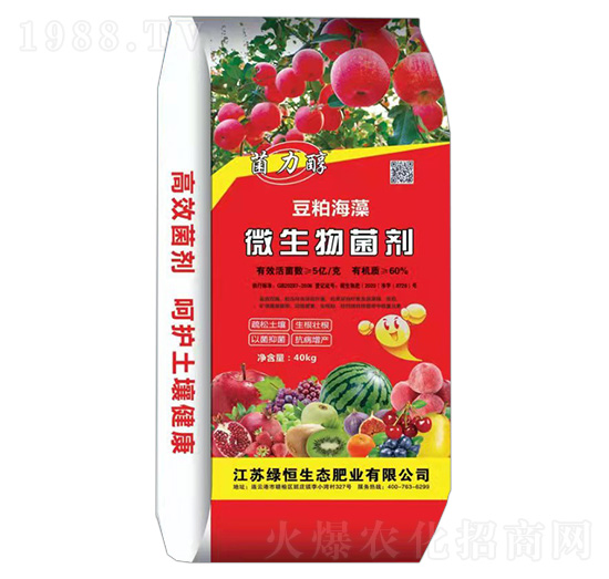 60%豆粕海藻微生物菌劑-菌力醇-綠恒生態(tài)